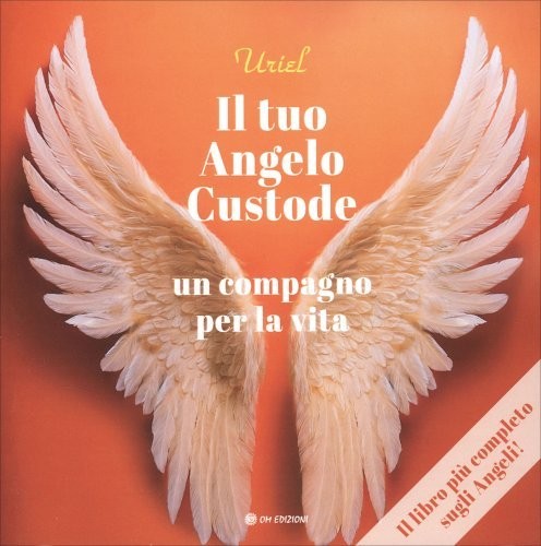 Libro tuo angelo custode - il,